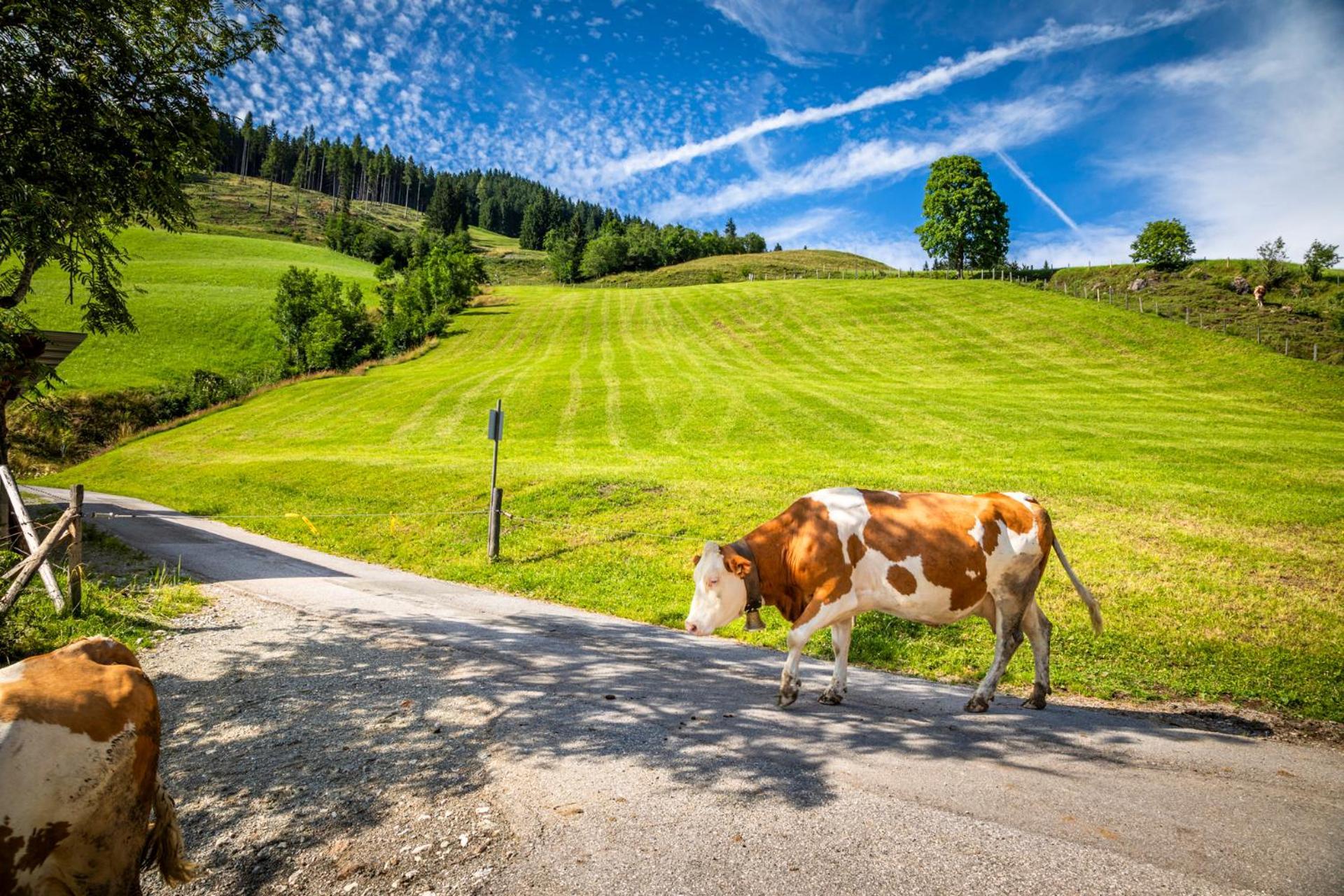 Bauernhaus Bichl Sankt Johann im Pongau Exterior foto